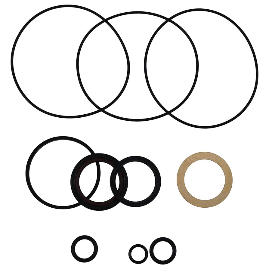 Amazon.com: FridayParts Hydraulic Motor Seal Kit 60564-000
